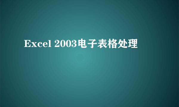 Excel 2003电子表格处理