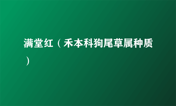 满堂红（禾本科狗尾草属种质）