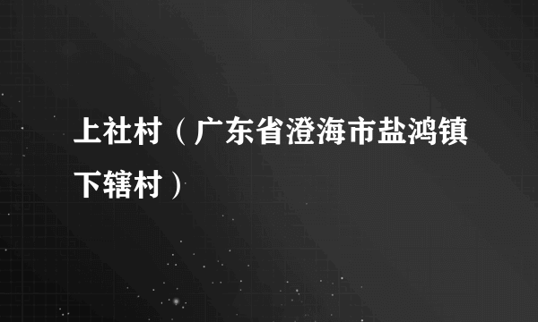 上社村（广东省澄海市盐鸿镇下辖村）