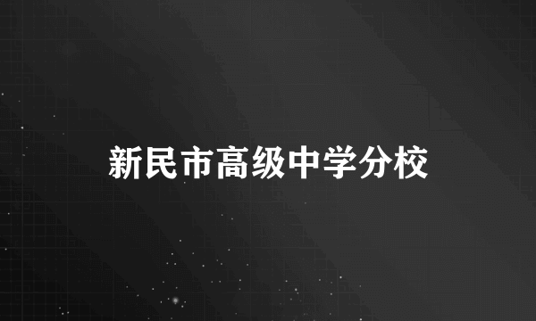 新民市高级中学分校