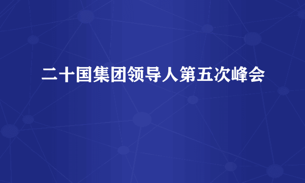 二十国集团领导人第五次峰会