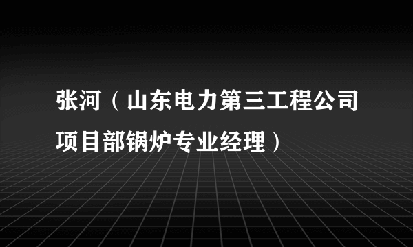 张河（山东电力第三工程公司项目部锅炉专业经理）