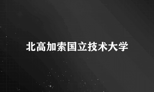 北高加索国立技术大学