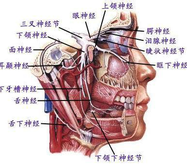 面部三叉神经痛