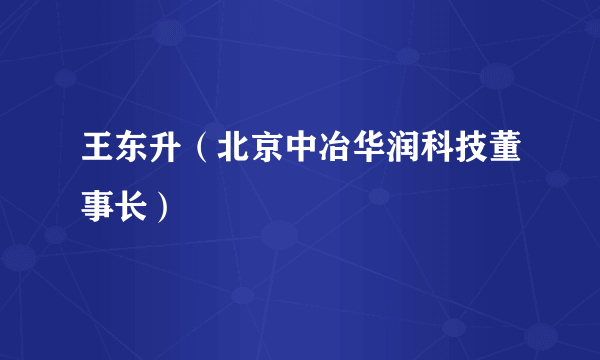 王东升（北京中冶华润科技董事长）