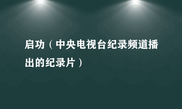 启功（中央电视台纪录频道播出的纪录片）