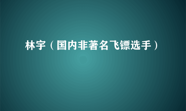 林宇（国内非著名飞镖选手）