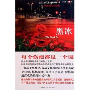 黑冰（2010年新星出版社出版的图书）