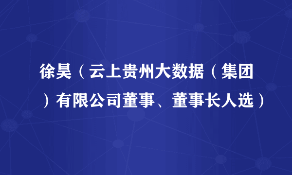 徐昊（云上贵州大数据（集团）有限公司董事、董事长人选）