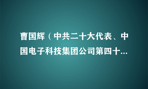 曹国辉（中共二十大代表、中国电子科技集团公司第四十五研究所高级技师）