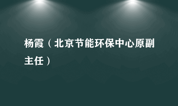 杨霞（北京节能环保中心原副主任）