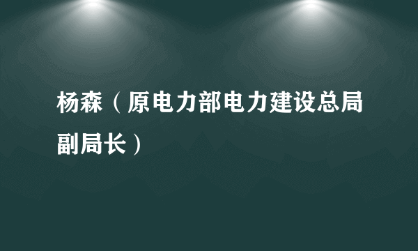 杨森（原电力部电力建设总局副局长）