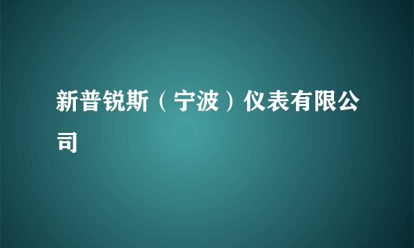 新普锐斯（宁波）仪表有限公司