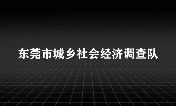 东莞市城乡社会经济调查队