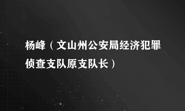 杨峰（文山州公安局经济犯罪侦查支队原支队长）