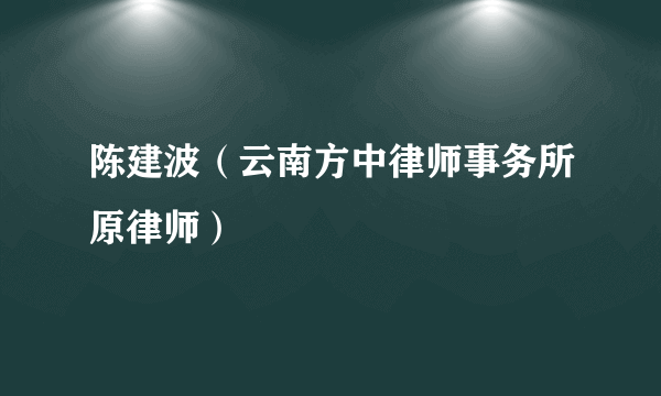 陈建波（云南方中律师事务所原律师）