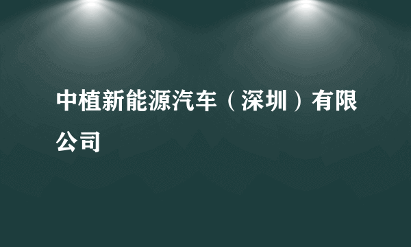 中植新能源汽车（深圳）有限公司