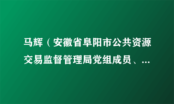 马辉（安徽省阜阳市公共资源交易监督管理局党组成员、副局长）