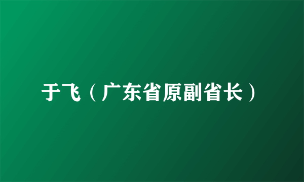 于飞（广东省原副省长）