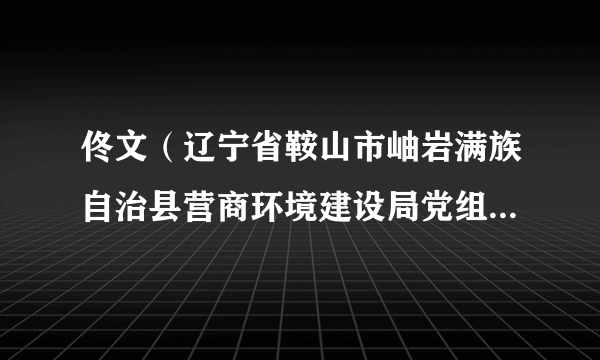 佟文（辽宁省鞍山市岫岩满族自治县营商环境建设局党组成员、副局长）