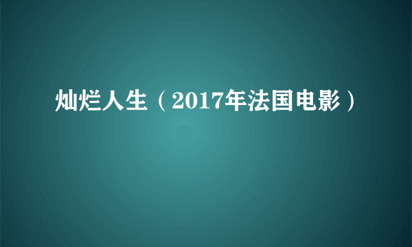 灿烂人生（2017年法国电影）