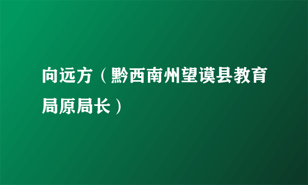 向远方（黔西南州望谟县教育局原局长）