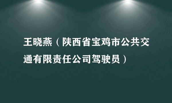 王晓燕（陕西省宝鸡市公共交通有限责任公司驾驶员）