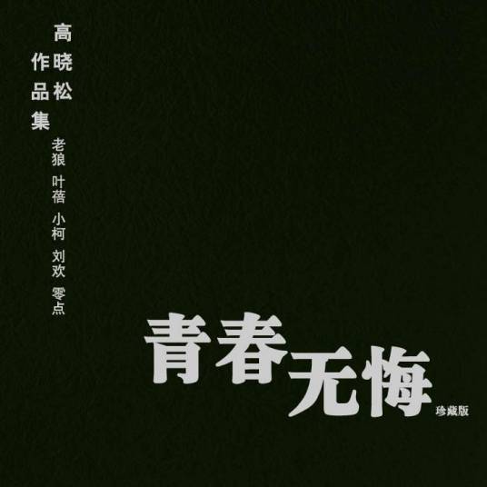 青春无悔（1991年王朔、魏人、周晓文执导的爱情电影）