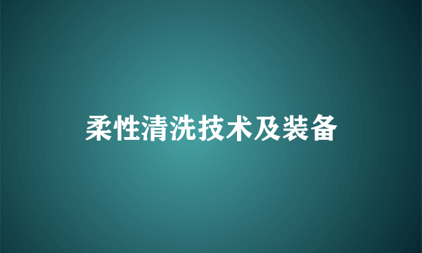 柔性清洗技术及装备