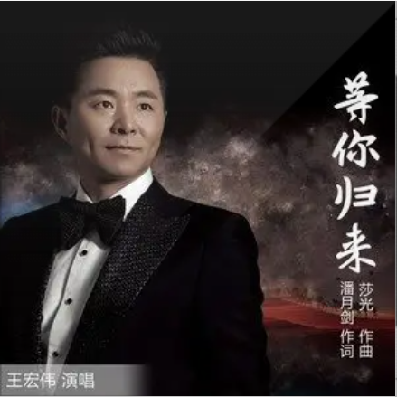 等你归来（王宏伟演唱歌曲）