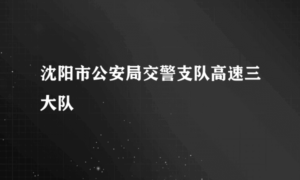 沈阳市公安局交警支队高速三大队