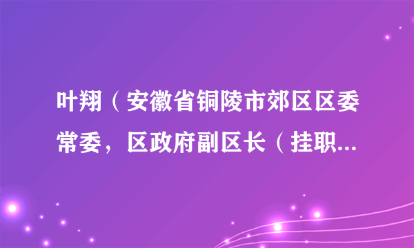 叶翔（安徽省铜陵市郊区区委常委，区政府副区长（挂职）、党组成员）