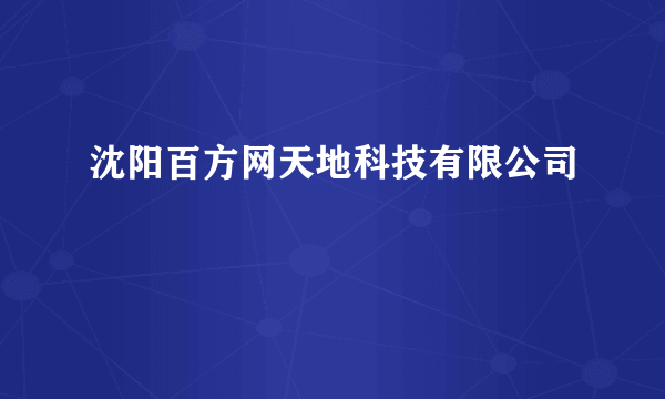 沈阳百方网天地科技有限公司