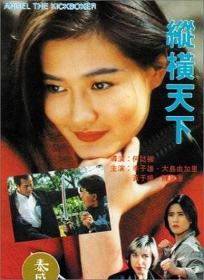 纵横天下（美国1992年何志强执导的动作电影）