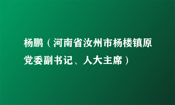 杨鹏（河南省汝州市杨楼镇原党委副书记、人大主席）