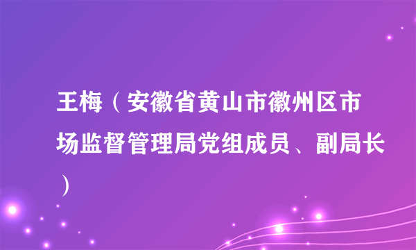 王梅（安徽省黄山市徽州区市场监督管理局党组成员、副局长）