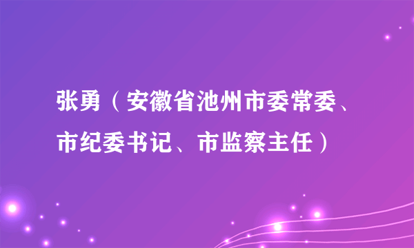 张勇（安徽省池州市委常委、市纪委书记、市监察主任）