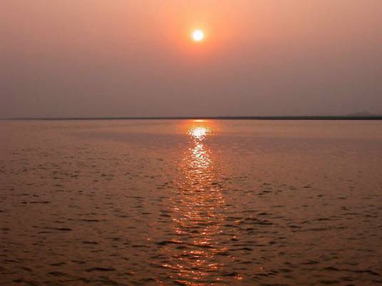 河南新乡黄河湿地鸟类国家级自然保护区