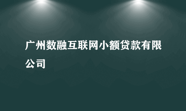 广州数融互联网小额贷款有限公司