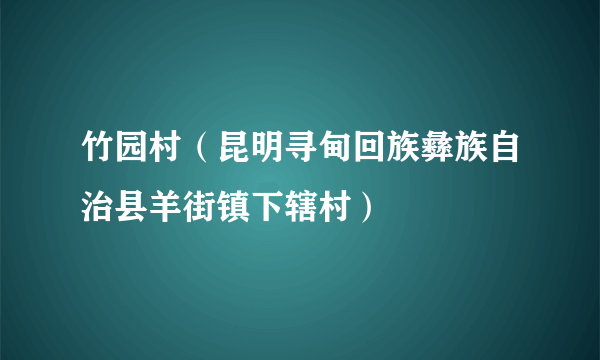 竹园村（昆明寻甸回族彝族自治县羊街镇下辖村）