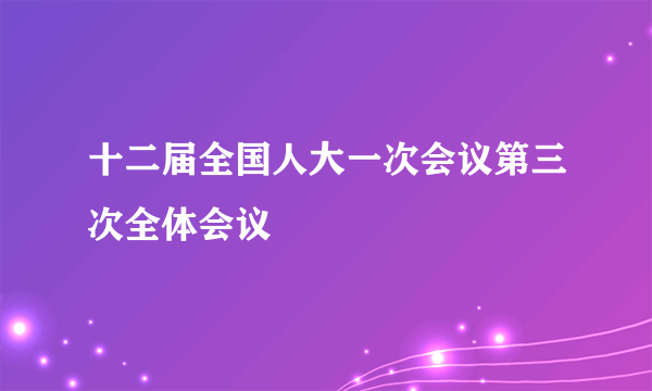 十二届全国人大一次会议第三次全体会议