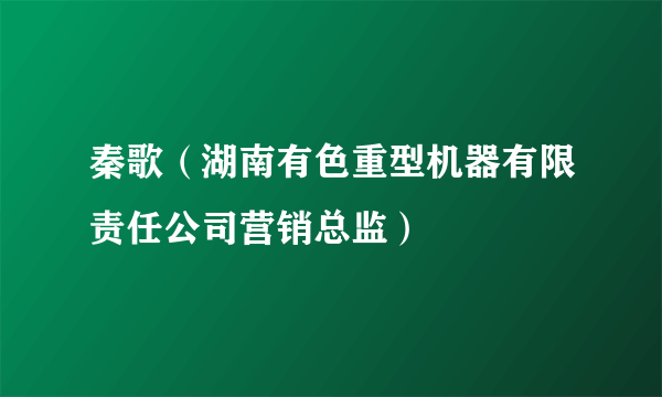 秦歌（湖南有色重型机器有限责任公司营销总监）