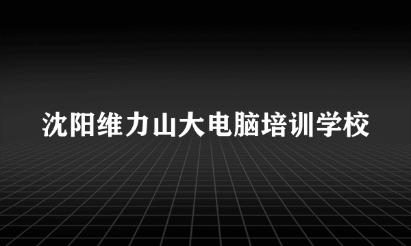 沈阳维力山大电脑培训学校