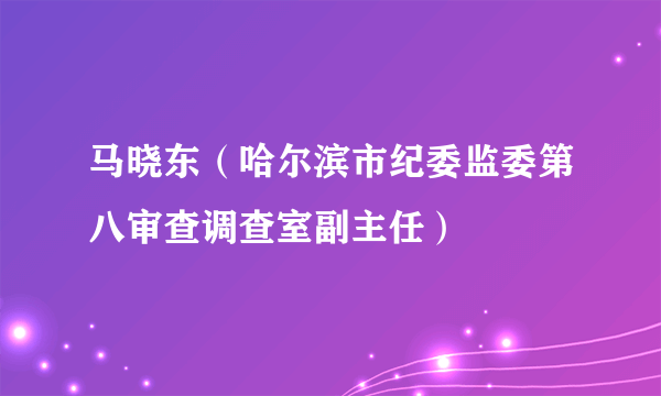 马晓东（哈尔滨市纪委监委第八审查调查室副主任）