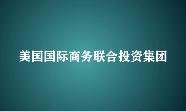 美国国际商务联合投资集团