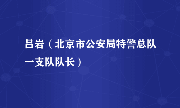 吕岩（北京市公安局特警总队一支队队长）