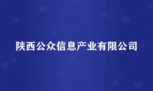 陕西公众信息产业有限公司