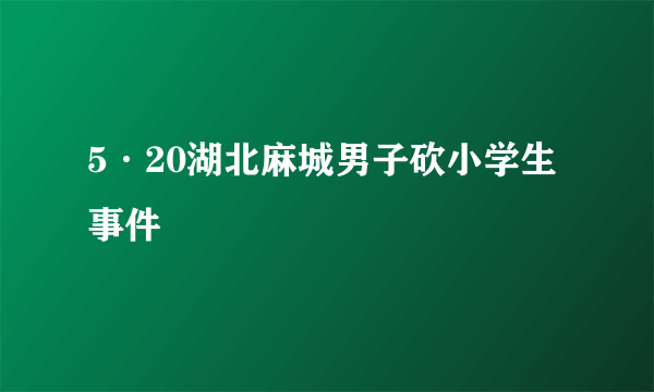 5·20湖北麻城男子砍小学生事件