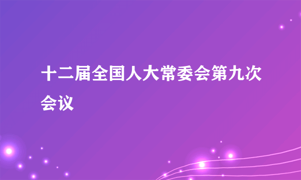 十二届全国人大常委会第九次会议