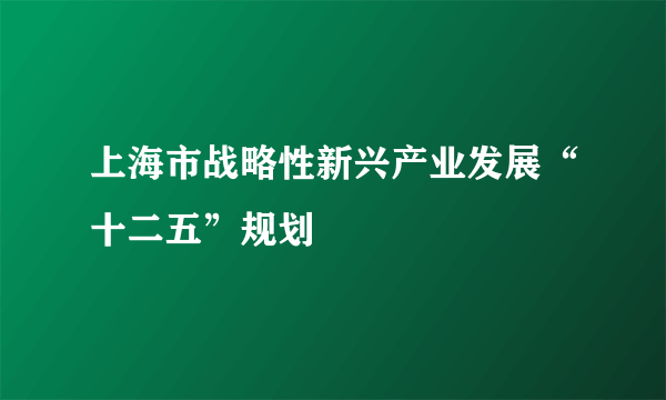 上海市战略性新兴产业发展“十二五”规划